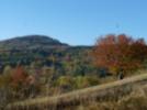 Indian Summer am Geisingberg