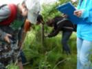 Kartierung der 2006 neu gepflanzten Bäumchen im Projektgebiet