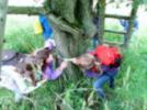 Gruppenarbeit am Baum