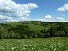 Steinrückenlandschaft Müglitzgrund