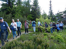 Im Botanischen Garten Schellerhau