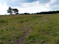 Ausgetrockneter oberer Abschnitt des Heidegrabens (Aufnahme am 18.07.9, H.Menzer)